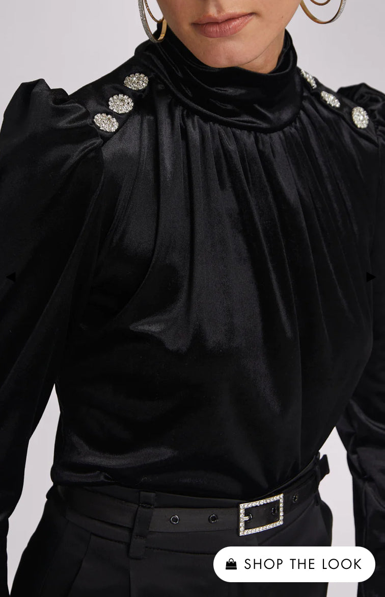 Rebecca Velour Top