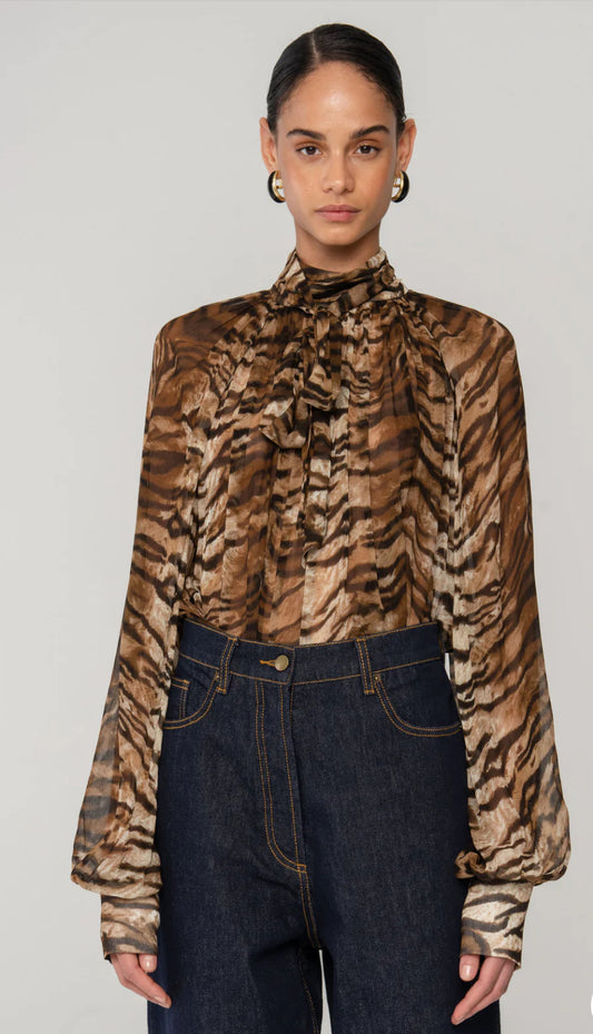 Zenia Top Tigers Eye