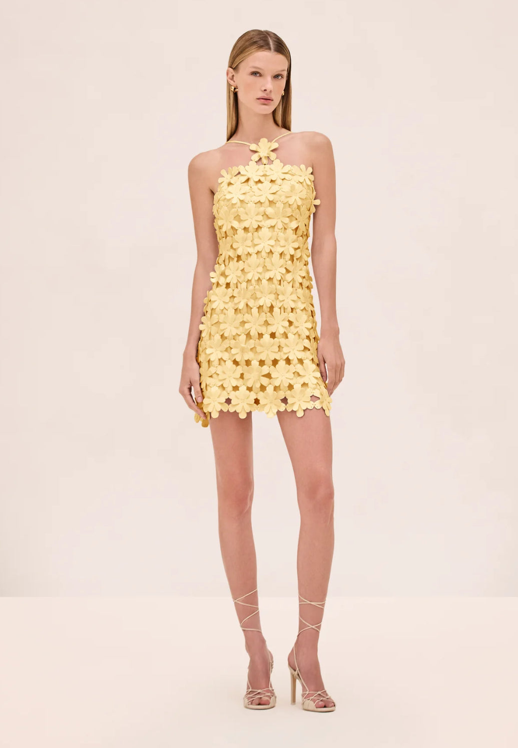 Lily Dress