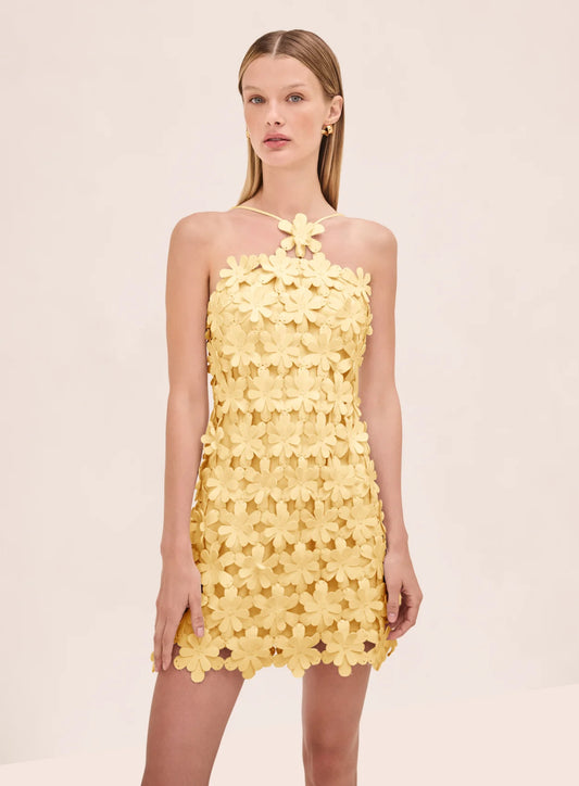Lily Dress
